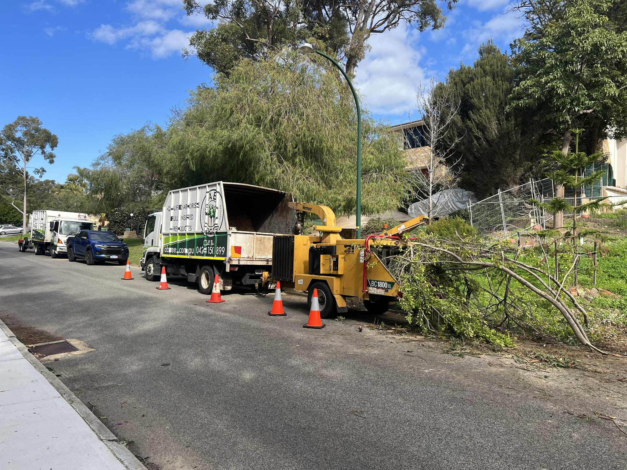 Tree Removal in Vernon, BC